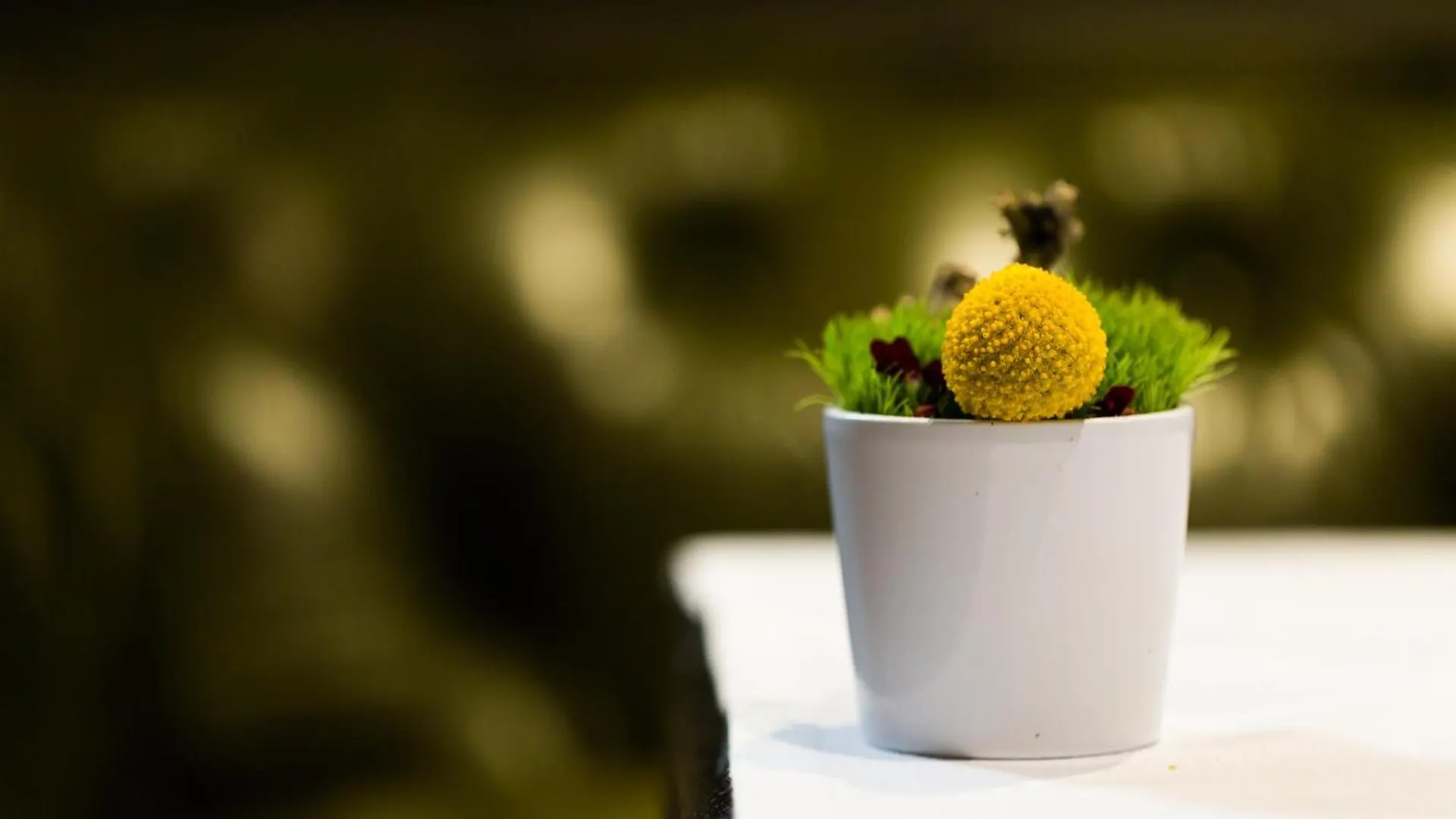 La Cour Des Consuls Hotel And Spa Toulouse - Mgallery